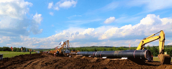 奋战2022 | 战疫，战役！中化华油建设集团市场开发实现两个小目标！