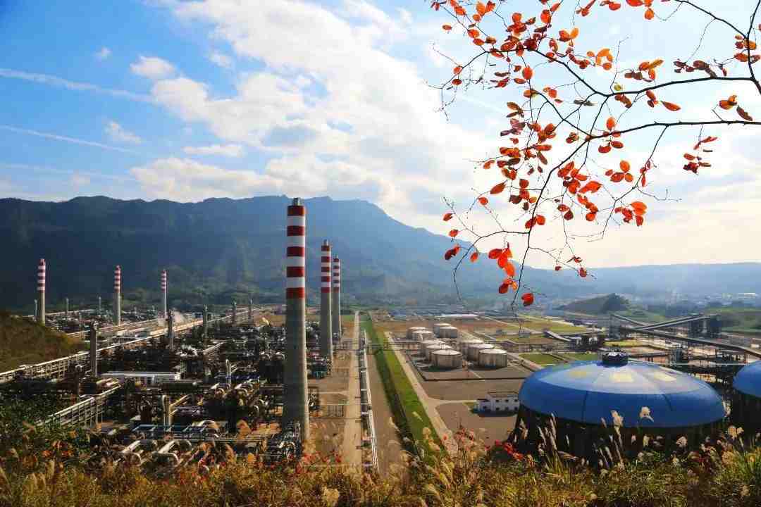 聚焦“一带一路”十周年 走进中化华油建设集团三十五年